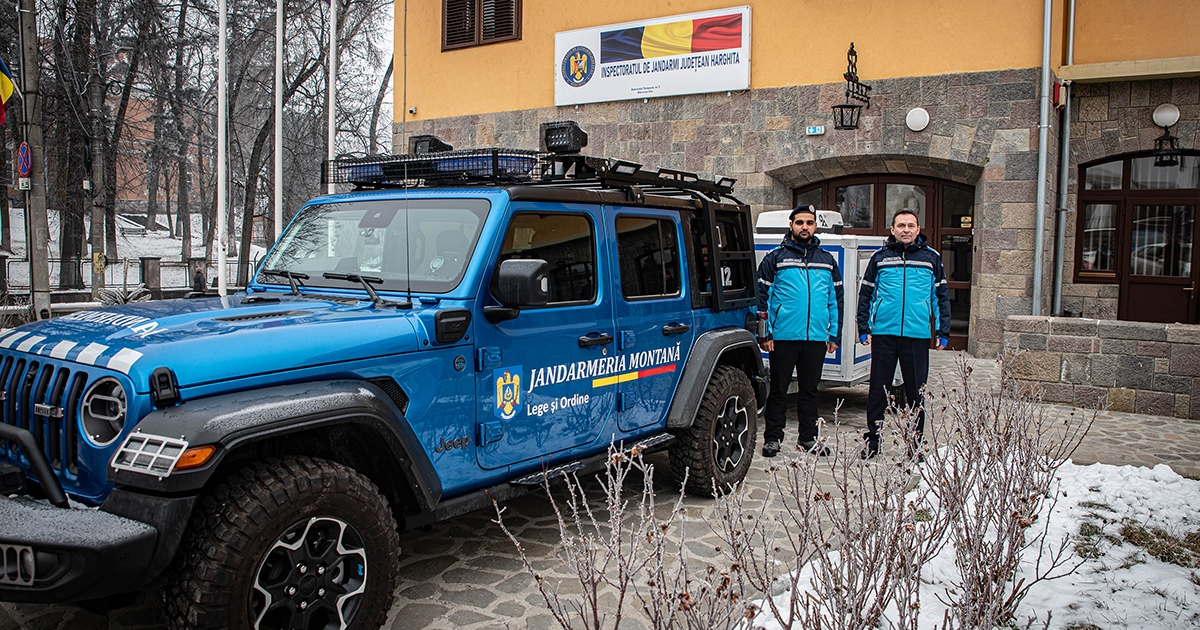 Több medvét űztek el tavaly, mint 2022-ben